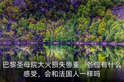 巴黎圣母院大火損失慘重，各位有什么感受，會(huì)和法國人一樣嗎