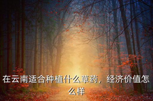 云南高原種植什么賺錢(qián),近幾年種植什么比較賺錢(qián)