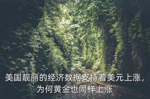 美國靚麗的經(jīng)濟(jì)數(shù)據(jù)支持著美元上漲，為何黃金也同樣上漲