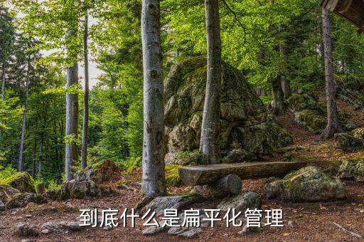 為什么實(shí)現(xiàn)扁平化管理,改為扁平化匯報