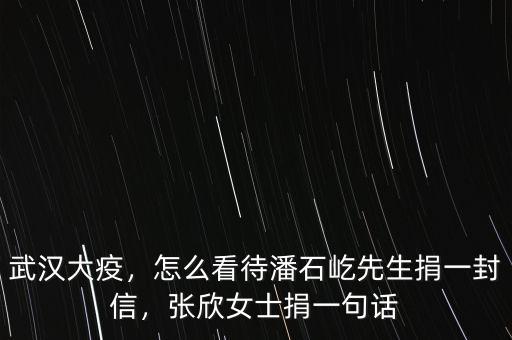 武漢大疫，怎么看待潘石屹先生捐一封信，張欣女士捐一句話