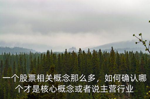 一個(gè)股票相關(guān)概念那么多，如何確認(rèn)哪個(gè)才是核心概念或者說(shuō)主營(yíng)行業(yè)