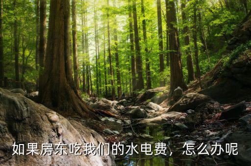 如果房東吃我們的水電費(fèi)，怎么辦呢