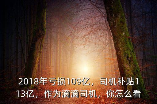 2018年虧損109億，司機補貼113億，作為滴滴司機，你怎么看