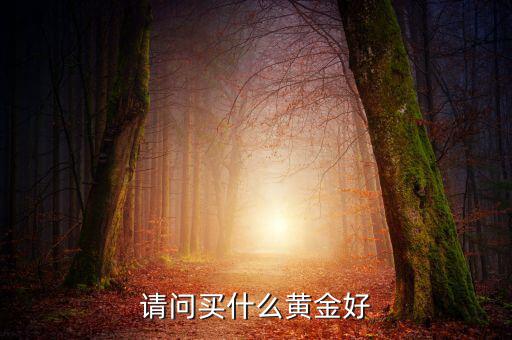 請(qǐng)問(wèn)買(mǎi)什么黃金好