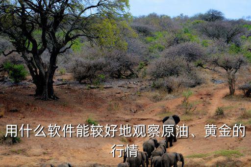 用什么軟件能較好地觀察原油、黃金的行情