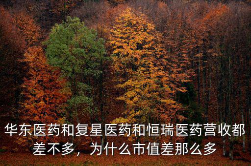 華東醫(yī)藥和復(fù)星醫(yī)藥和恒瑞醫(yī)藥營收都差不多，為什么市值差那么多