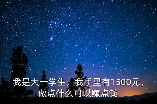 我是大一學生，我手里有1500元，做點什么可以賺點錢