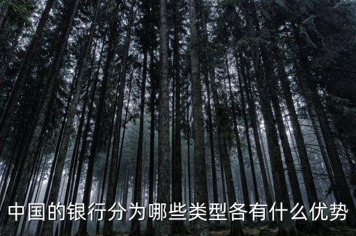 中國(guó)的銀行分為哪些類型各有什么優(yōu)勢(shì)