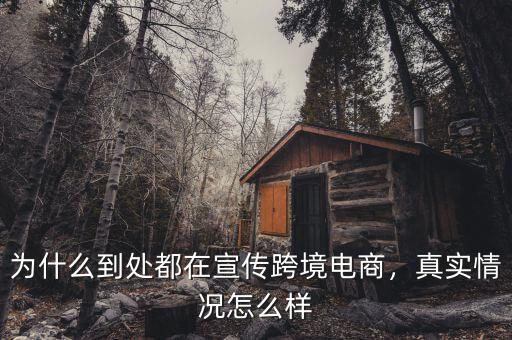 為什么到處都在宣傳跨境電商，真實(shí)情況怎么樣