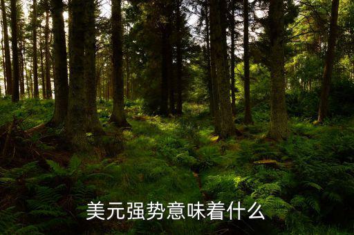 美元強(qiáng)勢(shì)意味著什么