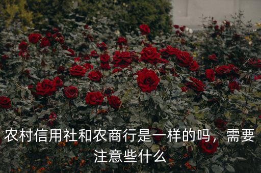 農(nóng)村信用社和農(nóng)商行是一樣的嗎，需要注意些什么