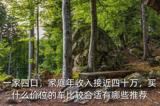 一家四口，家庭年收入接近四十萬，買什么價(jià)位的車比較合適有哪些推薦