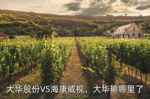 ?？低曉趺闯钟泄煞?寧德時代和海康威視