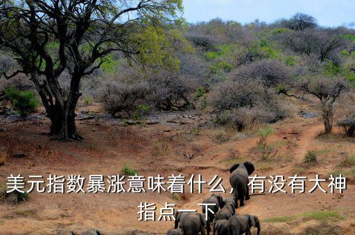美元指數什么意思,美元指數暴漲意味著什么