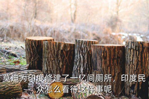 莫迪為印度修建了一億間廁所，印度民眾怎么看待這件事呢