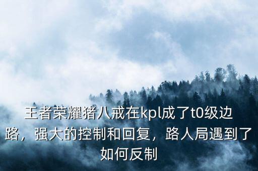 王者榮耀豬八戒在kpl成了t0級(jí)邊路，強(qiáng)大的控制和回復(fù)，路人局遇到了如何反制