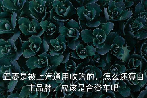 五菱是被上汽通用收購的，怎么還算自主品牌，應(yīng)該是合資車吧