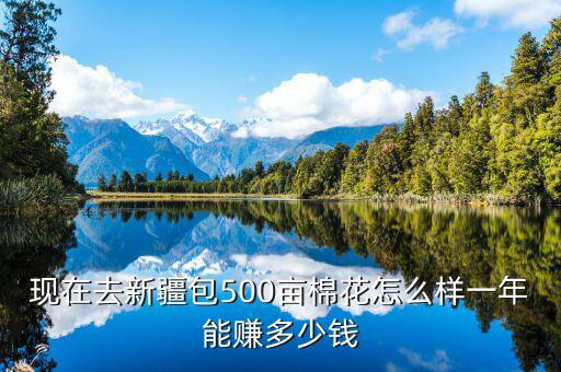 近期皮棉多少錢(qián)一噸,皮棉多少錢(qián)一噸