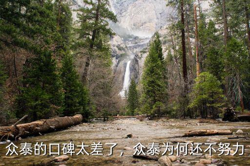 眾泰的口碑太差了，眾泰為何還不努力