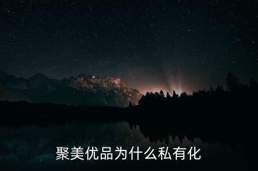 聚美優(yōu)品關稅怎么收,聚美優(yōu)品為什么私有化