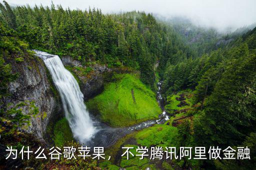 為什么谷歌蘋(píng)果，不學(xué)騰訊阿里做金融