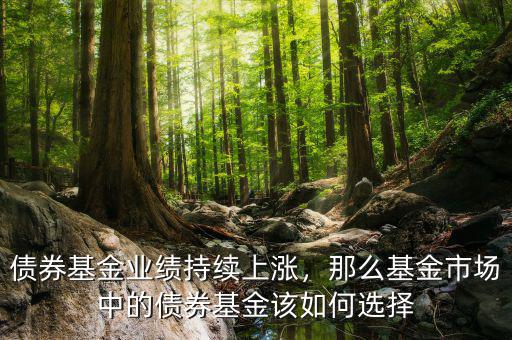 債券基金業(yè)績持續(xù)上漲，那么基金市場中的債券基金該如何選擇
