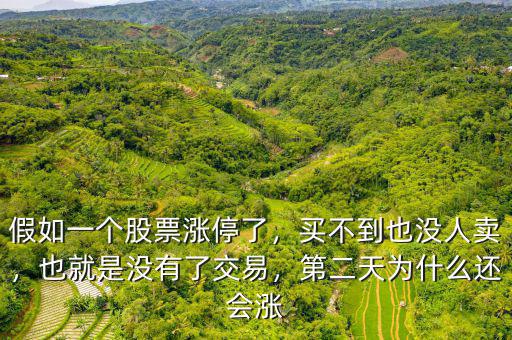 為什么漲停后沒人賣,第二天為什么還會(huì)漲