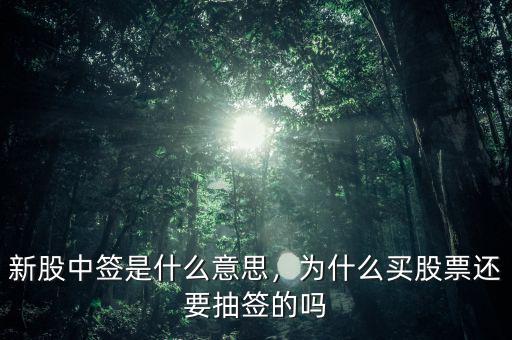 新股中簽是什么意思，為什么買股票還要抽簽的嗎