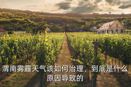 渭南霧霾天氣該如何治理，到底是什么原因?qū)е碌? class=