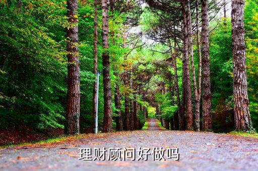 做投資理財(cái)顧問(wèn)怎么樣,做投資顧問(wèn)怎么樣