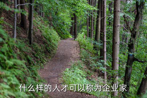 什么樣的人才可以稱(chēng)為企業(yè)家