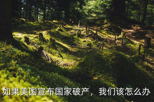 如果美國(guó)宣布國(guó)家破產(chǎn)，我們?cè)撛趺崔k