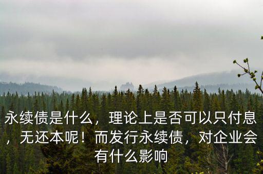 永續(xù)債是什么，理論上是否可以只付息，無還本呢！而發(fā)行永續(xù)債，對企業(yè)會有什么影響