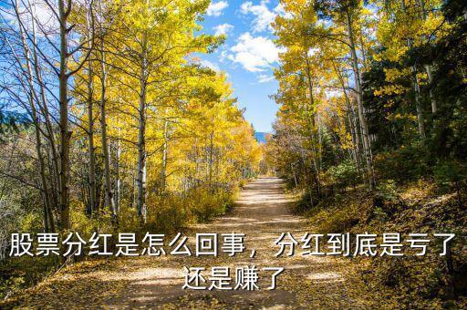 股票分紅是怎么回事，分紅到底是虧了還是賺了