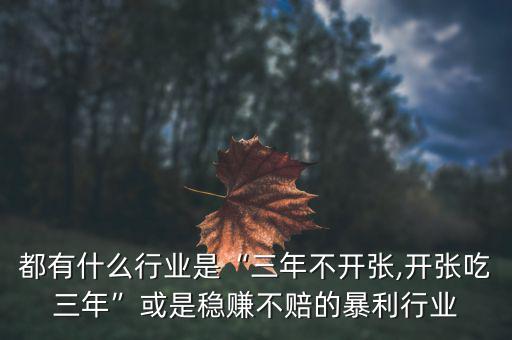 都有什么行業(yè)是“三年不開(kāi)張,開(kāi)張吃三年”或是穩(wěn)賺不賠的暴利行業(yè)