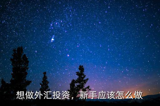 想做外匯投資，新手應(yīng)該怎么做