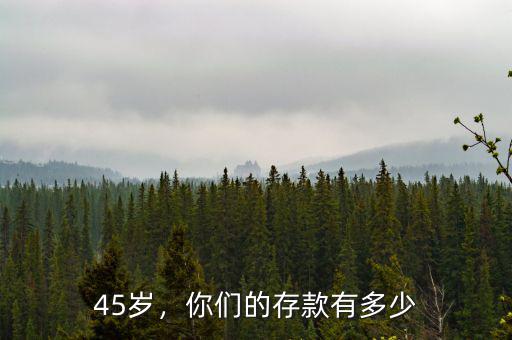 45歲，你們的存款有多少