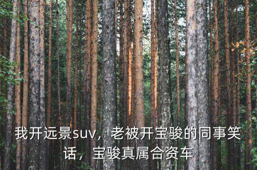 我開遠景suv，老被開寶駿的同事笑話，寶駿真屬合資車