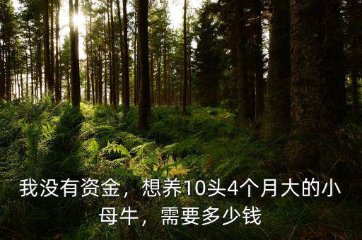 我沒有資金，想養(yǎng)10頭4個月大的小母牛，需要多少錢