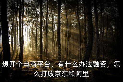 想開(kāi)個(gè)電商平臺(tái)，有什么辦法融資，怎么打敗京東和阿里
