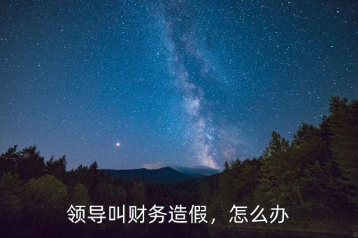 領導叫財務造假，怎么辦