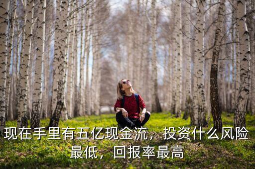 現(xiàn)在手里有五億現(xiàn)金流，投資什么風險最低，回報率最高
