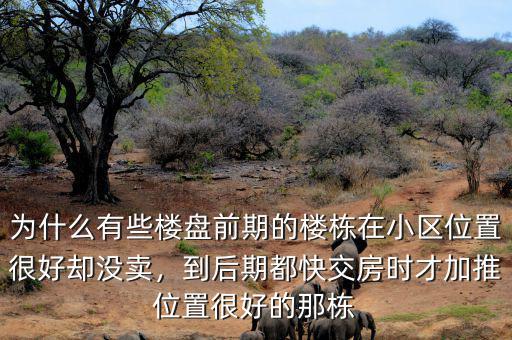 為什么有些樓盤前期的樓棟在小區(qū)位置很好卻沒(méi)賣，到后期都快交房時(shí)才加推位置很好的那棟