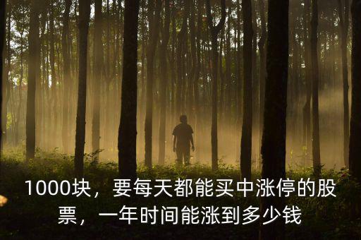 1000塊，要每天都能買中漲停的股票，一年時(shí)間能漲到多少錢