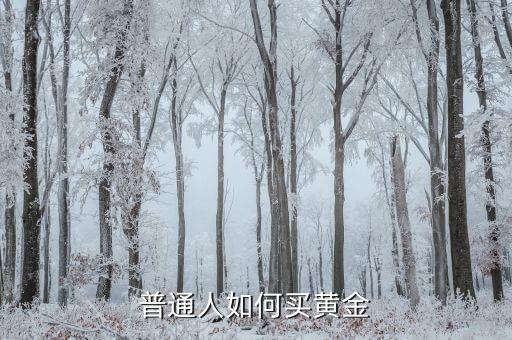 黃金怎么買(mǎi),普通人如何買(mǎi)黃金