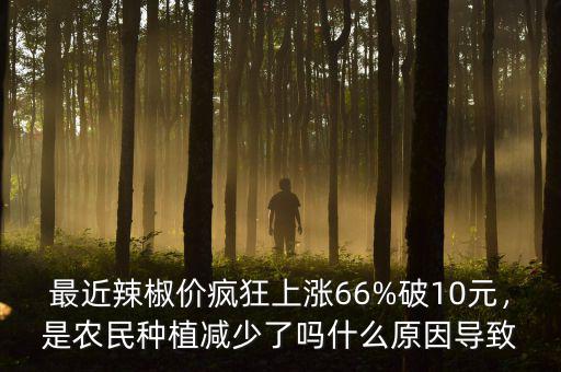 最近辣椒價瘋狂上漲66%破10元，是農(nóng)民種植減少了嗎什么原因?qū)е? class=