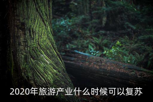 2020年旅游產(chǎn)業(yè)什么時(shí)候可以復(fù)蘇