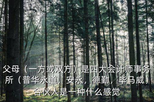 父母（一方或雙方）是四大會(huì)計(jì)師事務(wù)所（普華永道，安永，德勤，畢馬威）合伙人是一種什么感覺(jué)