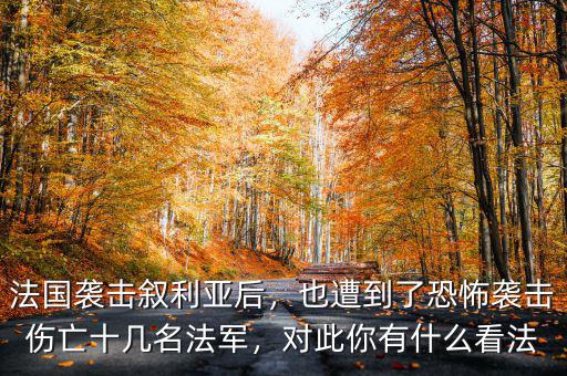 法國(guó)為什么會(huì)來(lái)恐怖襲擊,瓜達(dá)爾港遭遇恐怖襲擊